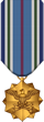 5 year active service